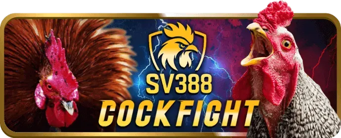 Cá cược thể thao tại 33win4 casino